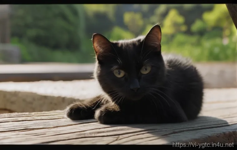 요가강사 취업 성공 사례 이미지 1
